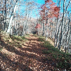 221112_p12.jpg