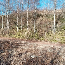 221127_p14.jpg