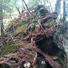 230520_p12.jpg
