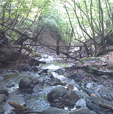110703_p03.jpg