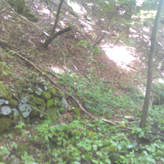 120716_p07.jpg