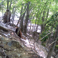 130526_p22.jpg