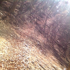 150418_p09.jpg