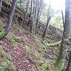 171008_p16.jpg