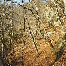 190302_p25.jpg