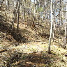 190505_p50.jpg