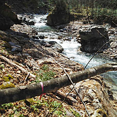 200001_p07.jpg