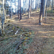 201117_p32.jpg