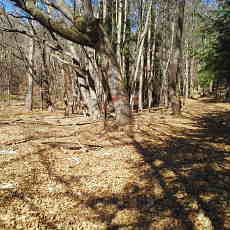 201220_p12.jpg