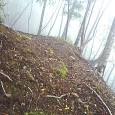 210522_p14.jpg