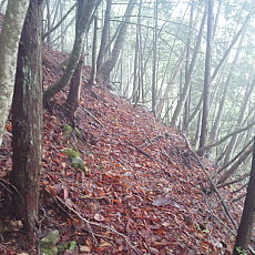 210522_p28.jpg