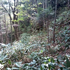 240612_p34.jpg
