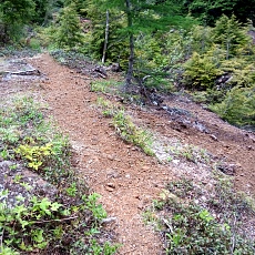 240612_p61.jpg