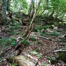 250629_p05.jpg