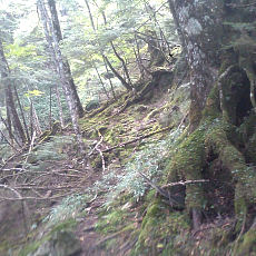 130914_p14.jpg