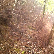131006_p05.jpg