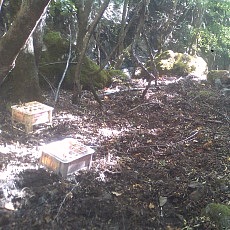 131013_p12.jpg