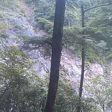 140913_p29.jpg