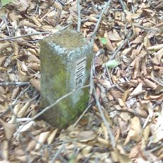 150522_p02.jpg