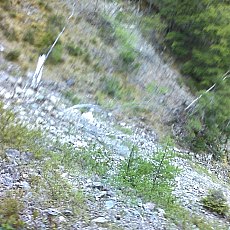 150523_p07.jpg