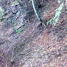 150905_p06.jpg