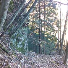 151103_p09.jpg