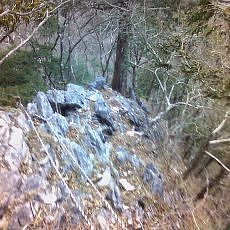 160109_p16.jpg