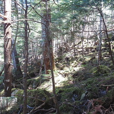 180428_p08.jpg