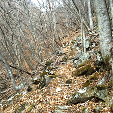 190323_p23.jpg
