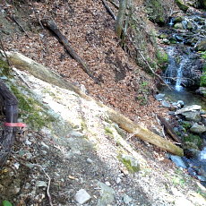 190518_p19.jpg