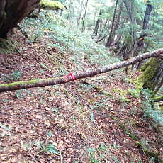 201004_p24.jpg