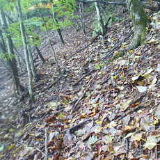 201018_p07.jpg