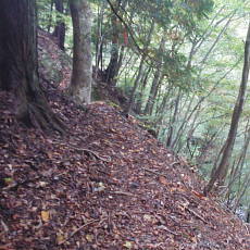 201018_p23.jpg