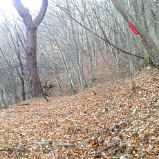 201206_p20.jpg