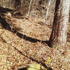 210223_p09.jpg