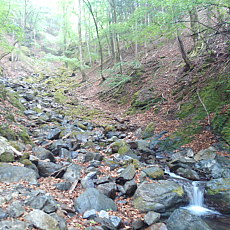 210515_p05.jpg