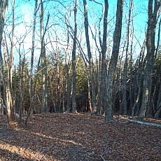 230304_p09.JPG