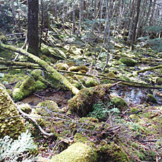 211020_p21.jpg