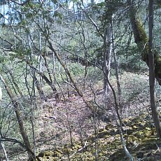 110508_n02.jpg