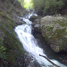 110703_p11.jpg