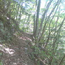 120716_p12.jpg