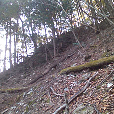130428_p17.jpg