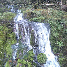 130623_p17.jpg