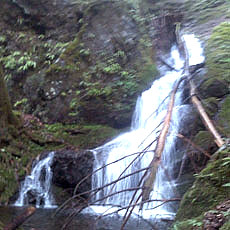 130726_p05.jpg