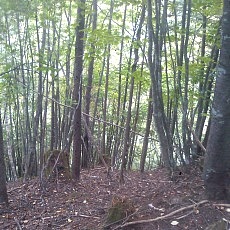 140922_p31.jpg