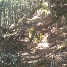 150430_p05.jpg