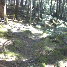 150628_p04.jpg