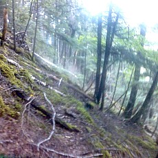 150919_p12.jpg
