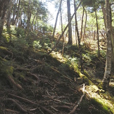 180428_p11.jpg