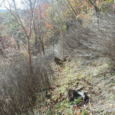 181021_p06.jpg